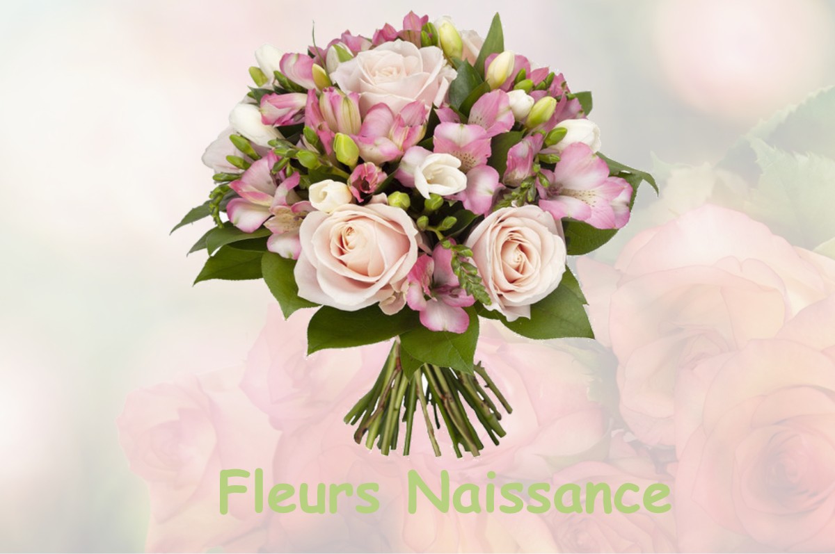 fleurs naissance ALLEMOND