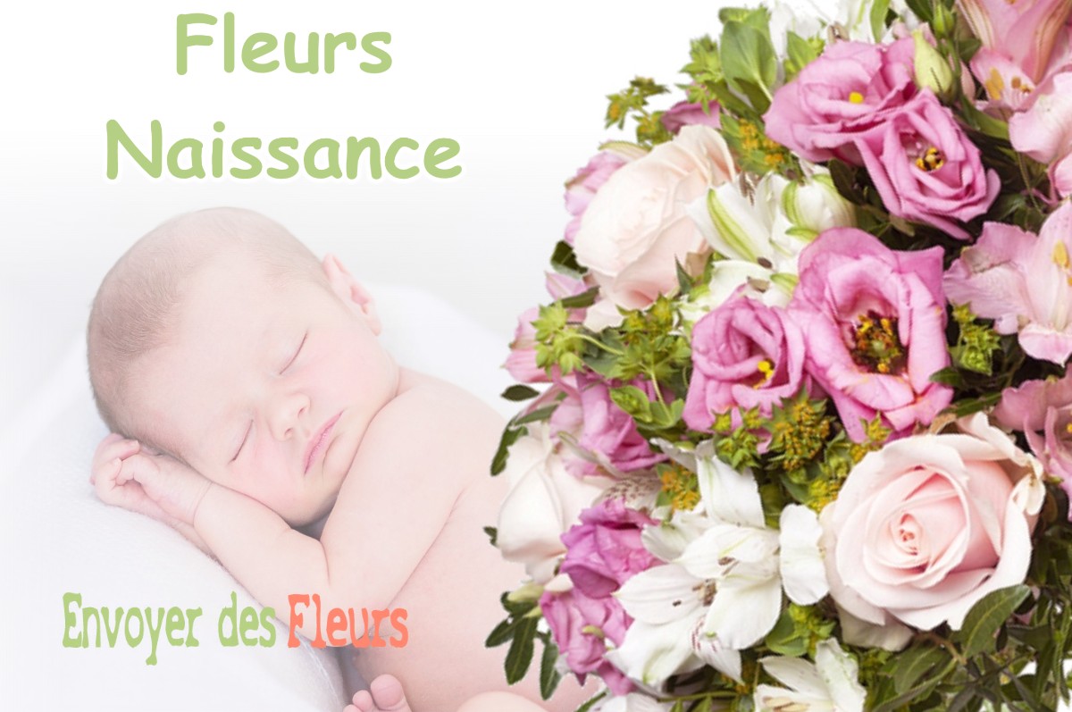 lIVRAISON FLEURS NAISSANCE à ALLEMOND